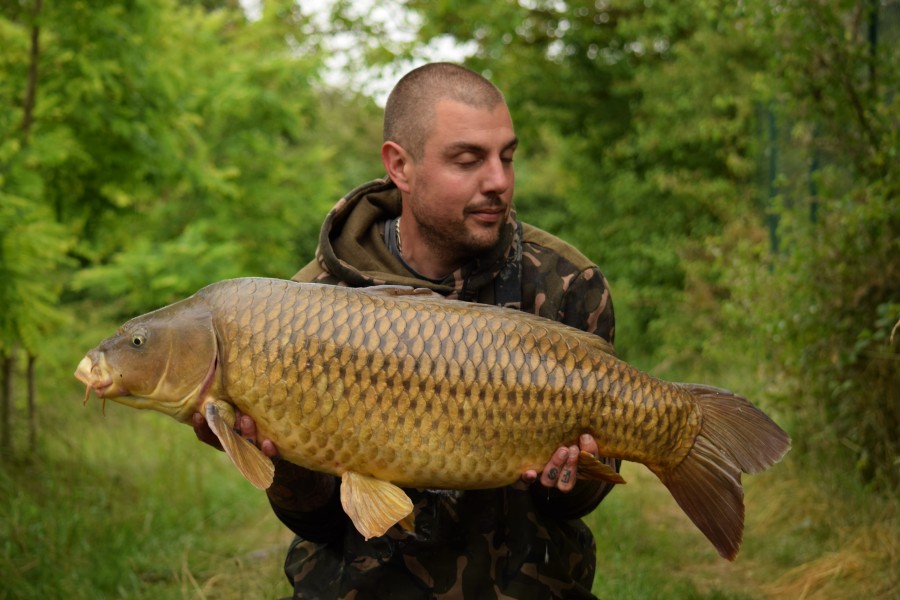 Mike Cherrett, 33lb, Dunkerque, 15/06/2024