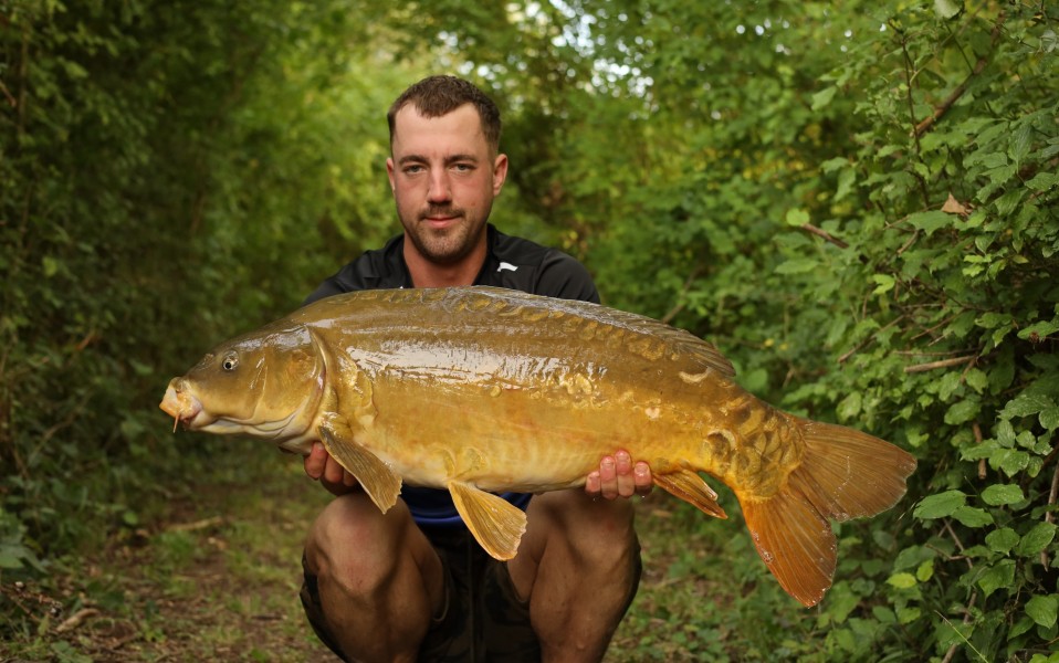Owain Watkins, 31lb 4oz, Turtles Corner, 26/07/2025