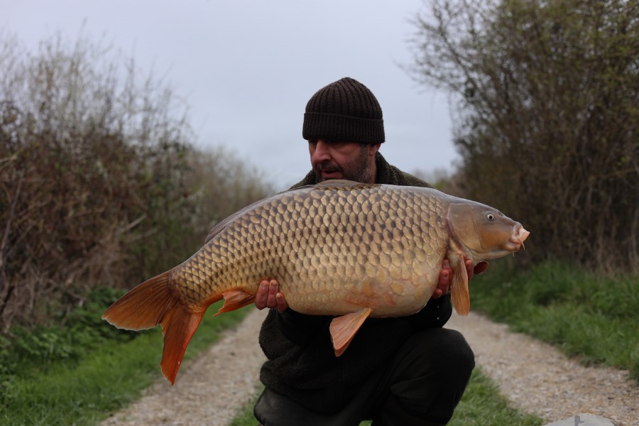 Jason Shroder - 39lb 12oz - Shingles - 21/03/2026