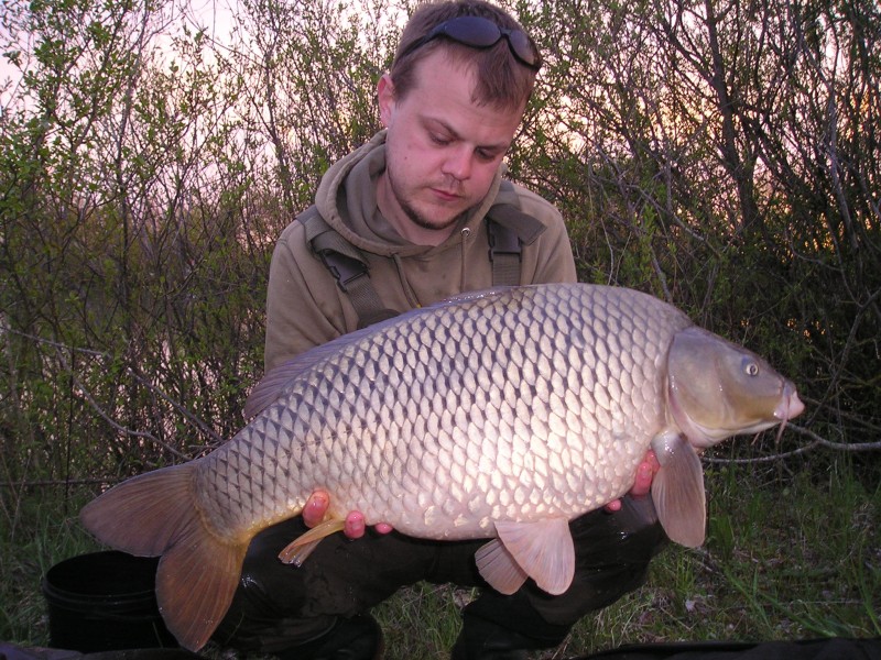 Stewart with a mint common
