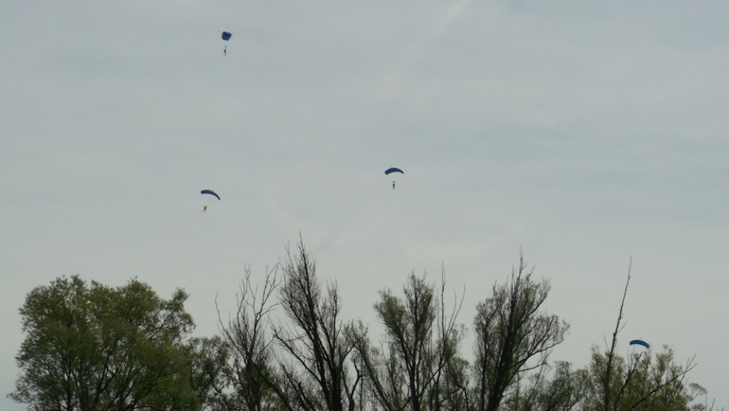 Extra entertainment watching these guys