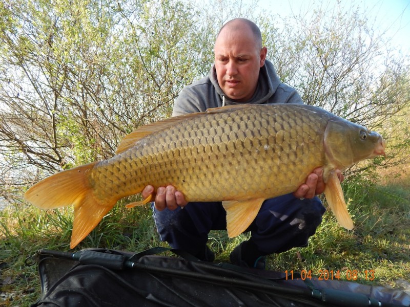 Shauns mid-twenty common