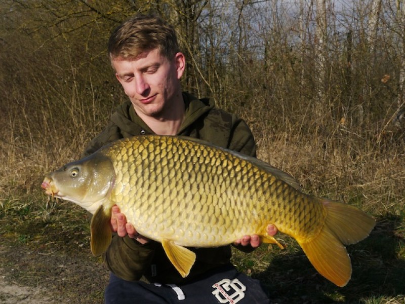 18lb common