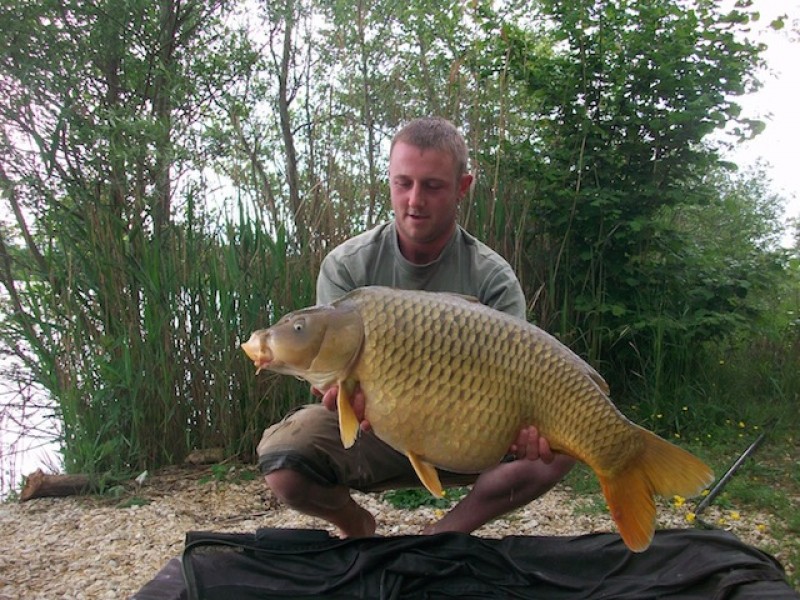 31lb road lake common