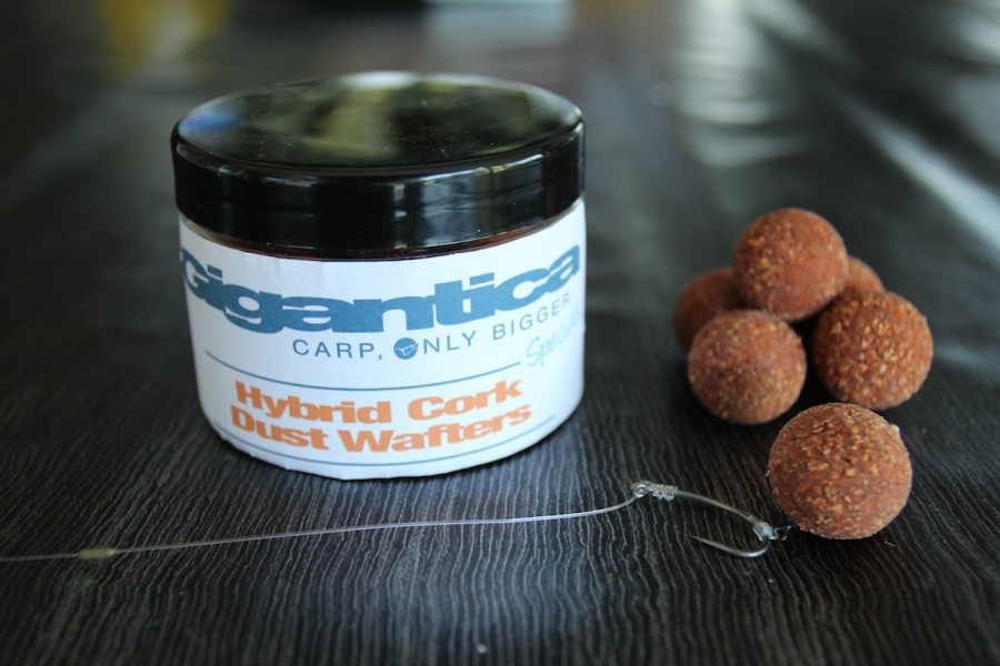Gigantica hybrid cork dust wafters