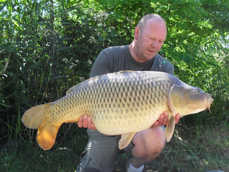 A nice 33.00lbs common for richard