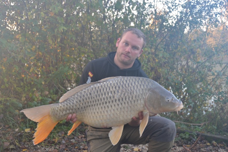 per hansen 34lb Cage 24.10.15