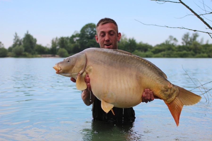 Rose Bud at 45lb from Birches