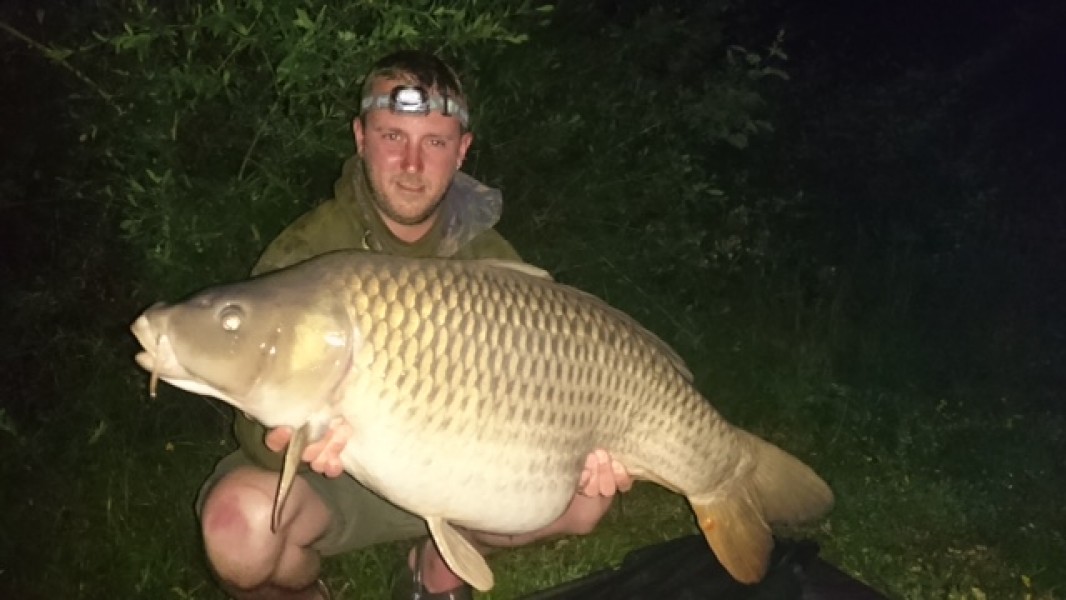 Lewis with 36lbs common