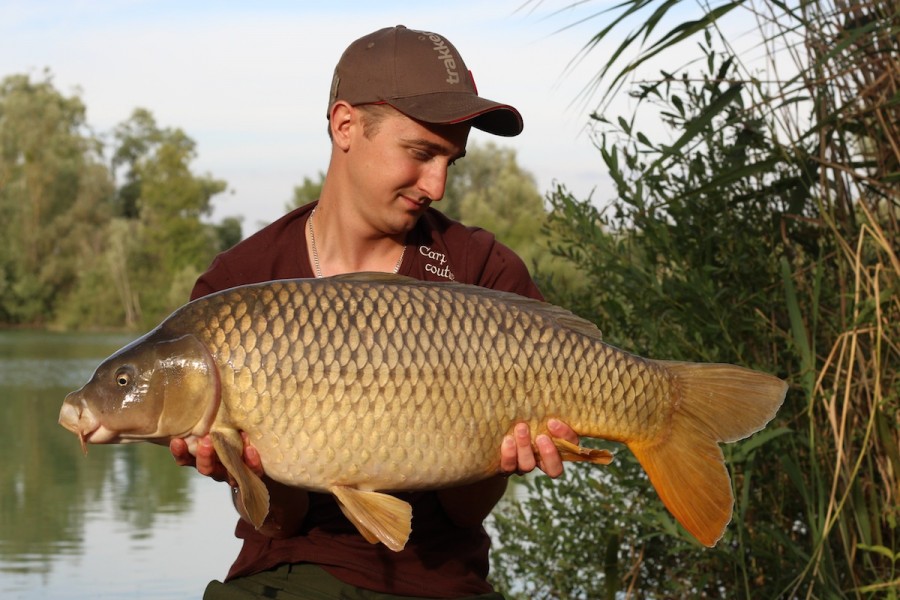 24lbs