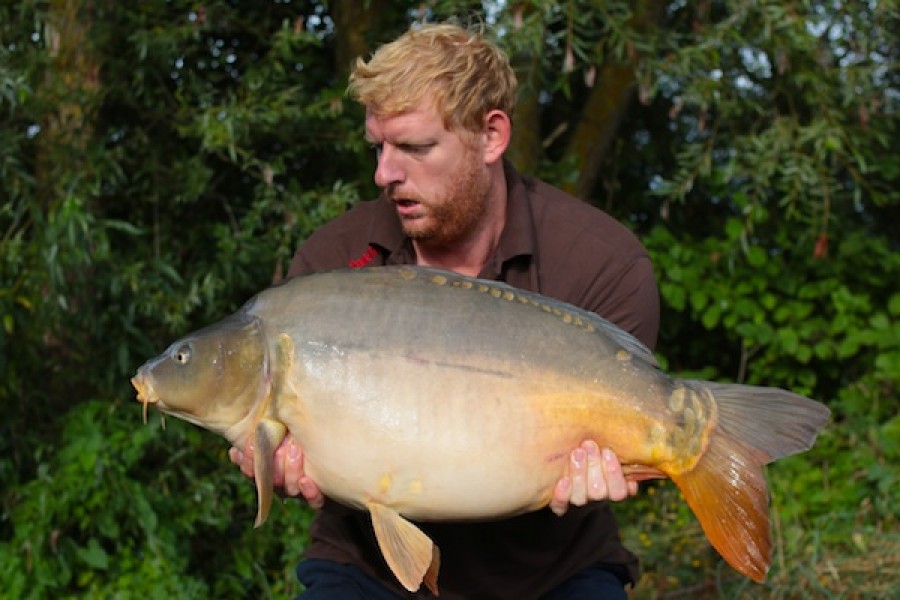 31.06lb Turtles Corner 10.09.16