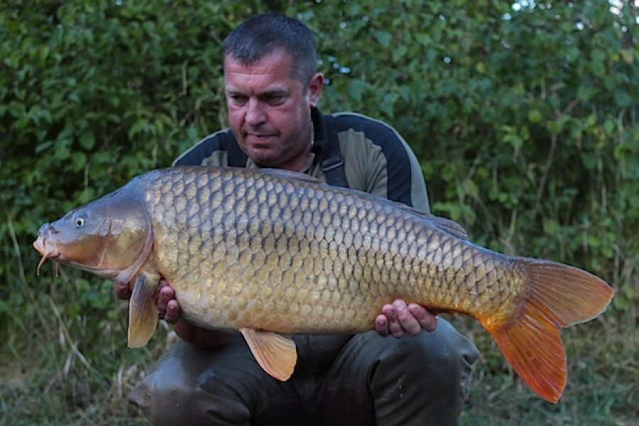 33.02lb The Poo 10.09.16