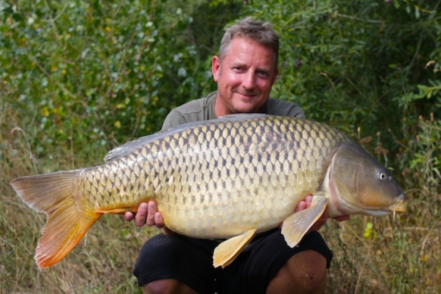 36.00lb Tea 1 10.09.16