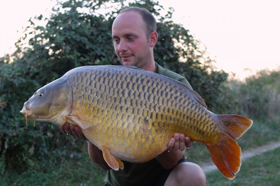 36.00lb Shingles 10.09.16