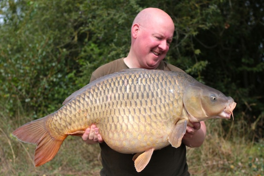 41.00lb common Tea Party 1 17.09.16