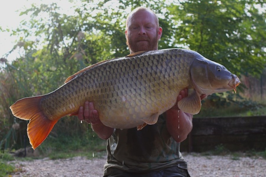 38.08lb Twin Patch Dunkerque 17.09.16