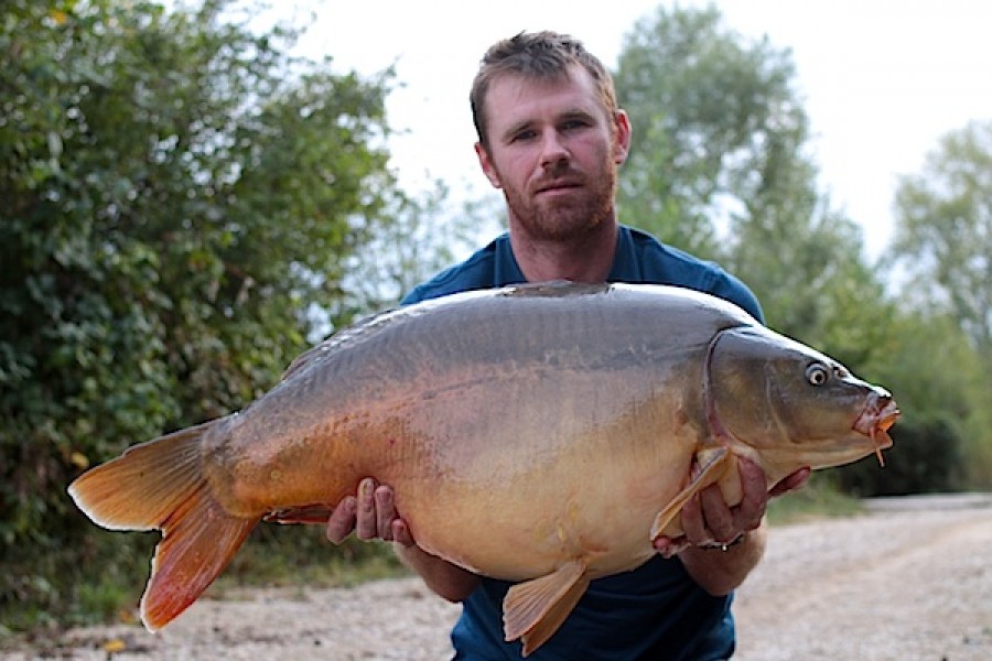 37.00lb mirror Birches 17.09.16