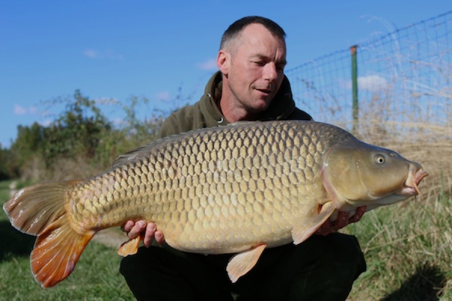 41lb Korda Social Common Shingles 1.10.16