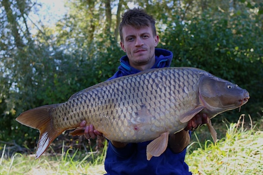 32.00lb common Turtles 1.10.16