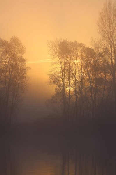 Early Morning Sunrise on the Road Lake. Spring is finally here.