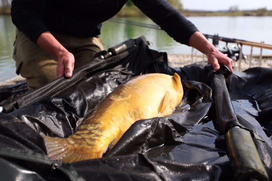 Weighing completed, time for a trophy shot