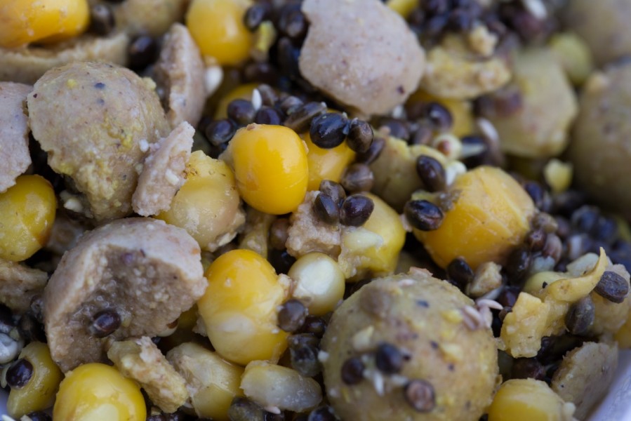 The winning bait combination, Mainline Cell, Hemp and Maize: feeding little but often being the key.