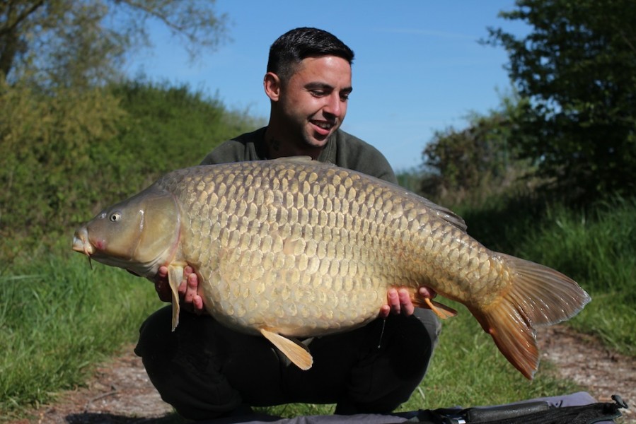 Steve Maxwell with Blade at 41lb 8oz from Turtles Corner 25.4.17