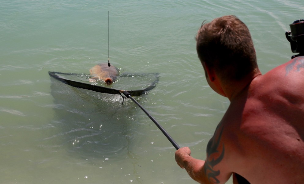 Go on son, get in that net!