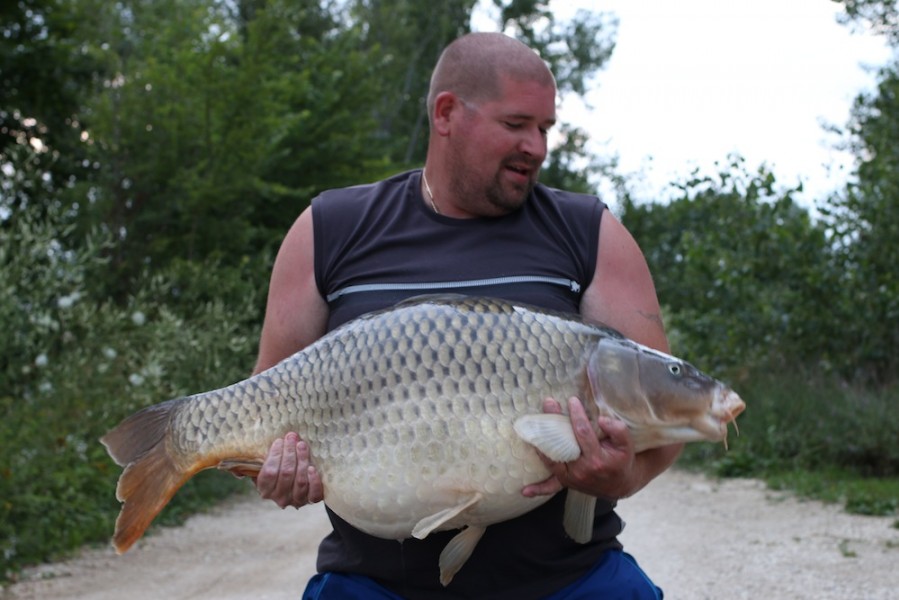 Adam Scott 40lb common Tea party 1