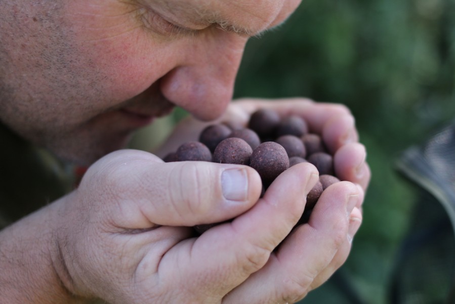 What is the secret ingredient? The new fishmeal smells unbelievable.