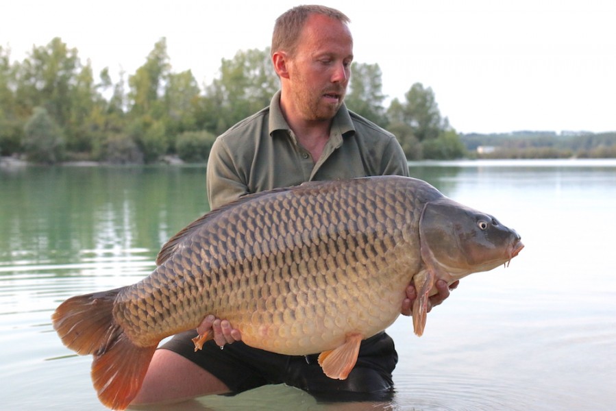 Darren King, 50lb, New Beach 19.08.17