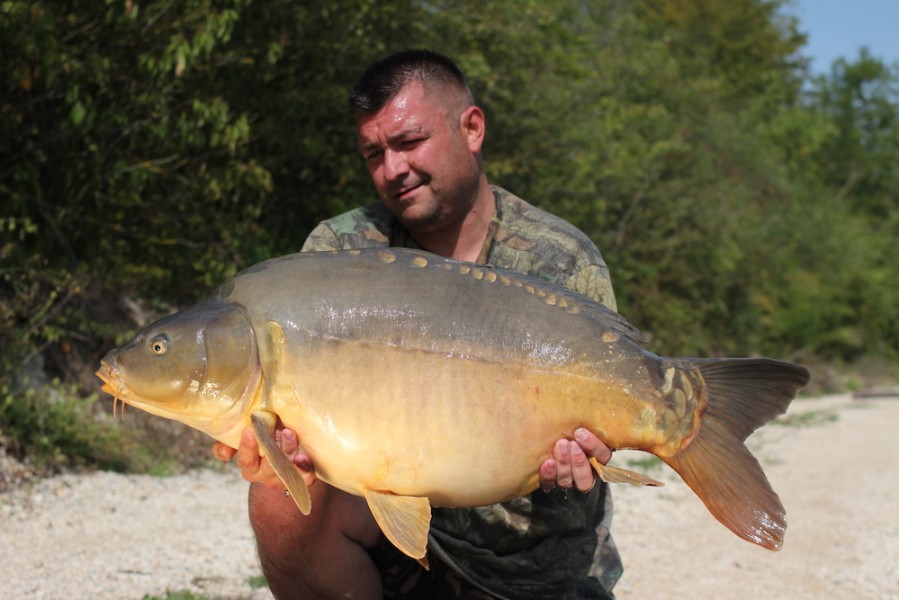 Rea with a 36lb Mirror from Brambles 26.8.17