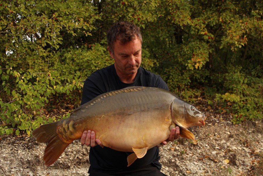 Steve Hughes 31lb8oz Brambles 2.9.17