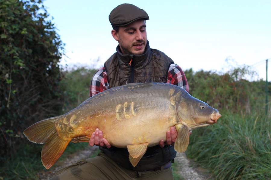 Uwe Tillman, 32lb, Shingles, 09.09.17