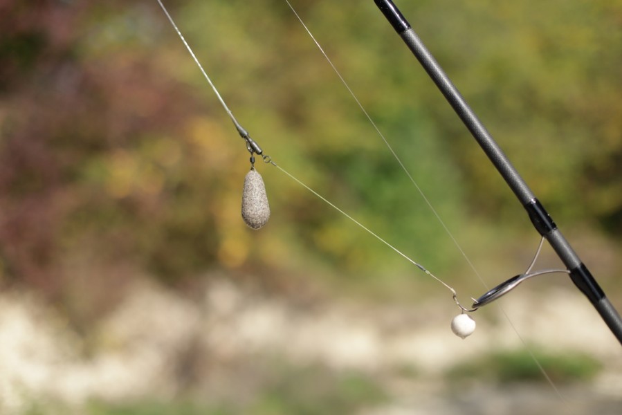 Simon's  rig that nailed Arun's fish