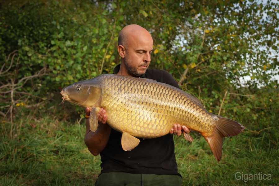 Spencer Chunn, 32lb, Turtles Corner, 23.9.17