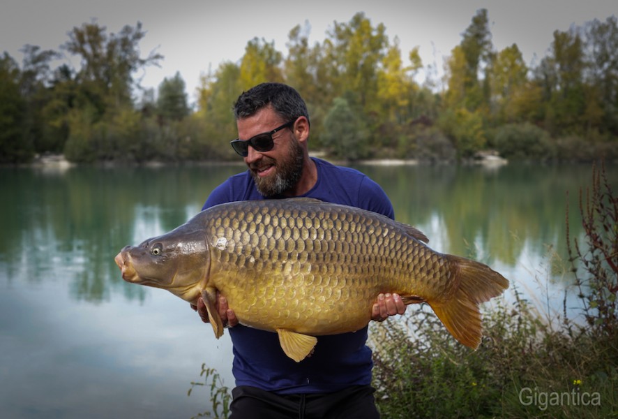 Buzz, Unnamed Common, 44lb, Shingles, 23.9.17