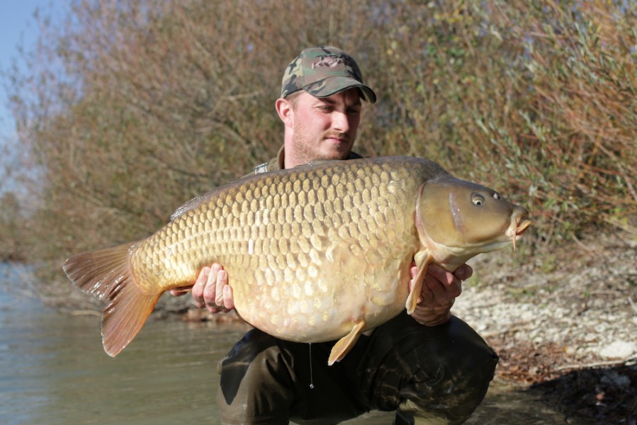 John Wilkes, 45lb 8oz, Shingles, 21.10.17