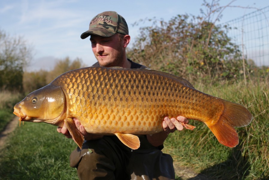 John Wilkes, 36lb 4oz, Shingles, 21.10.17