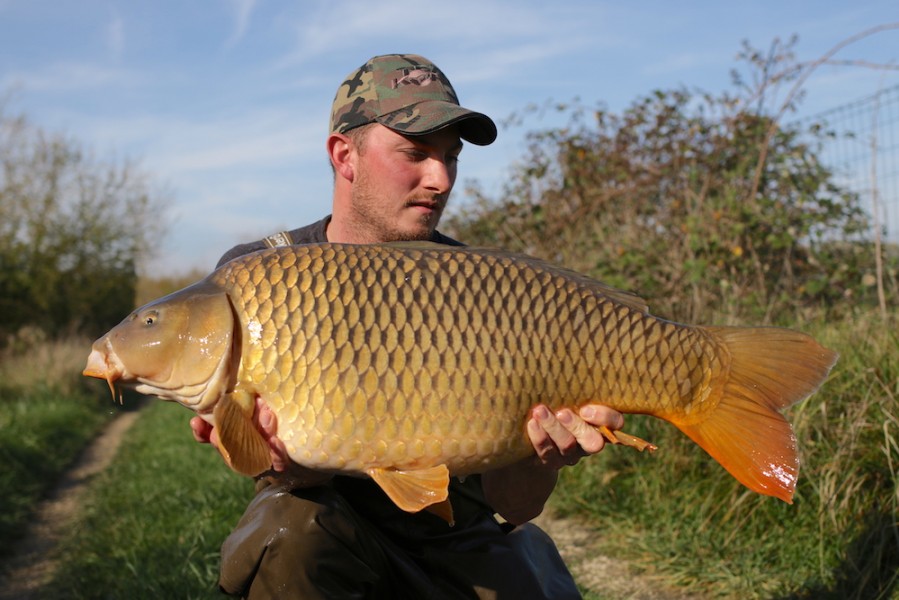 John Wilkes, 31lb 8oz, Shingles, 21.10.17