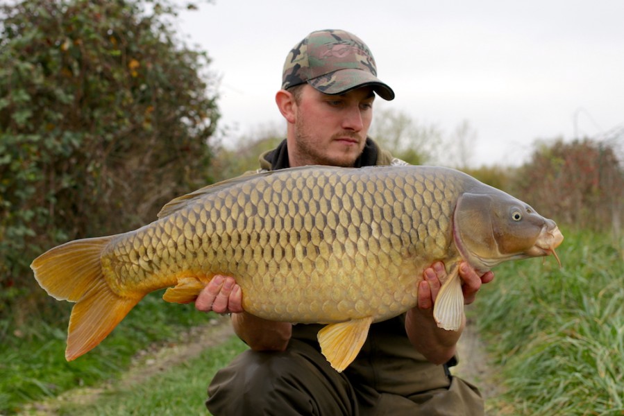 John Wilkes, 25lb, Shingles, 21.10.17