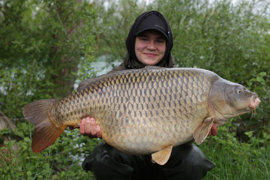 Max Whitehall, 41lb, Turtle Corner, 28.04.18