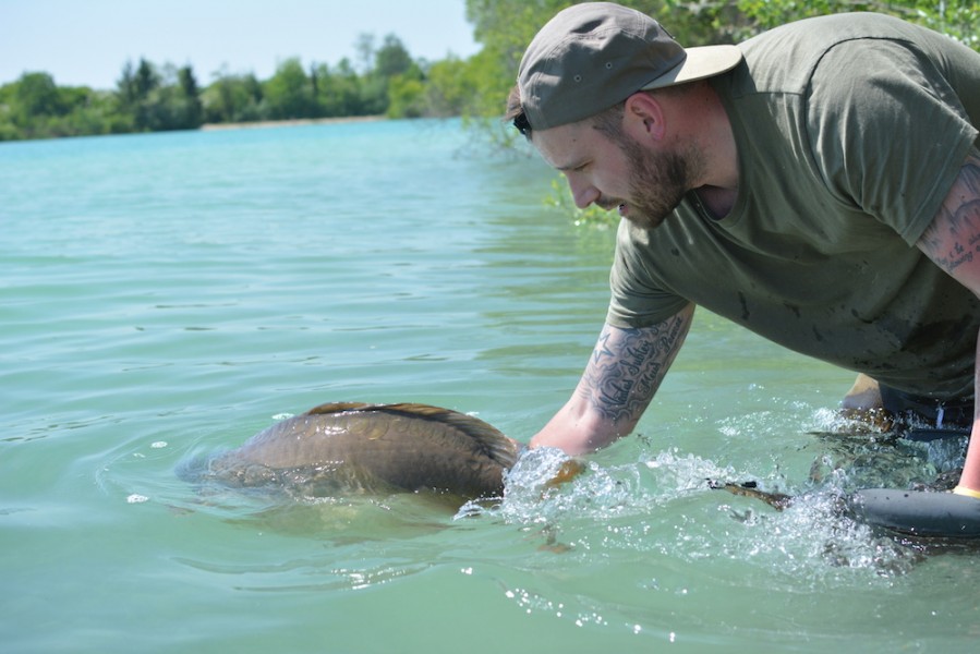 What better sight !!!!!!!