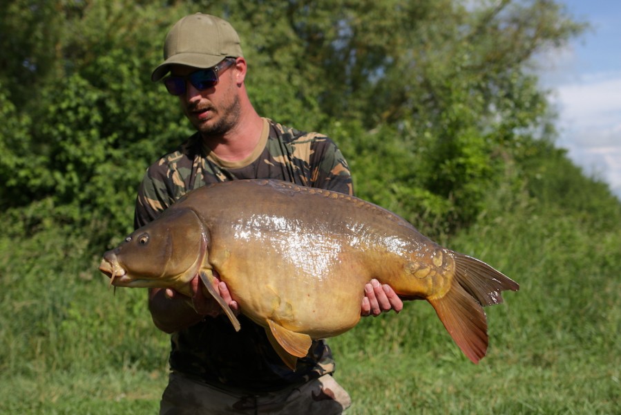 Uwe Tilman, 36lb 8oz, Turtle Corner, 9.6.18