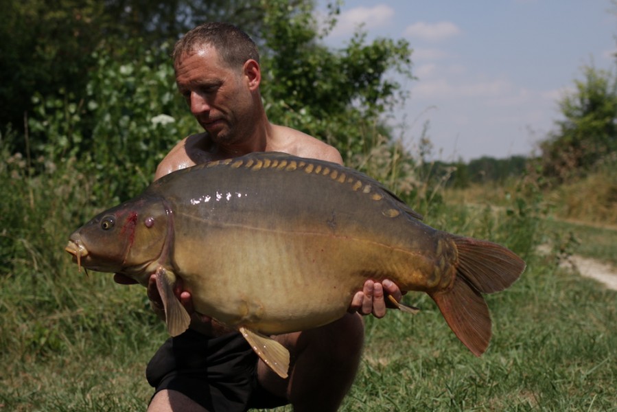 Colin Wadley, 36lb 8oz, Turtle Corner, 21.7.18