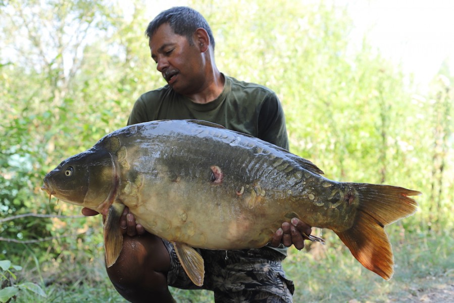 Dean Chetty, 36lb, New Beach, 28.7.18