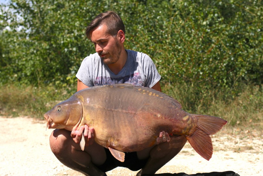 Mark Cooper, 49lb 8oz, Tea Party, 11.8.18