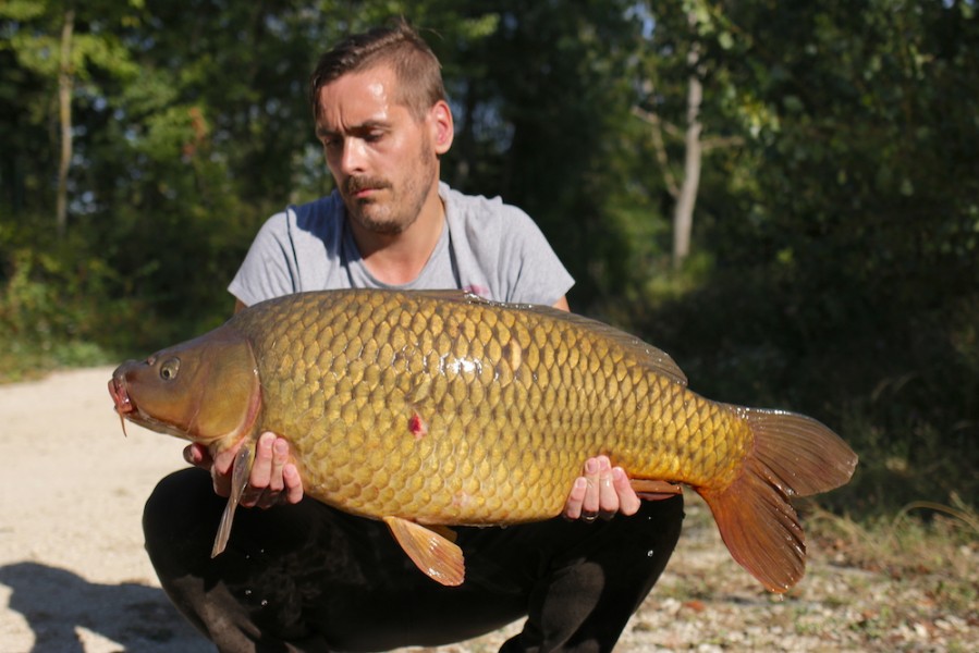 Mark Cooper, 31lb, Tea Party, 11.8.18