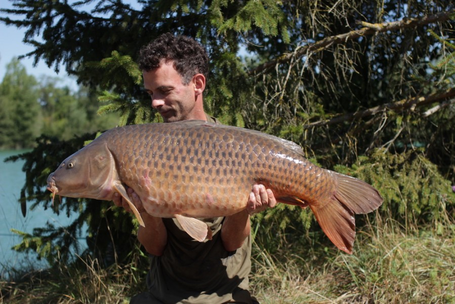 Martijn Martwart, 49lb 12oz, New Beach, 04.08.18