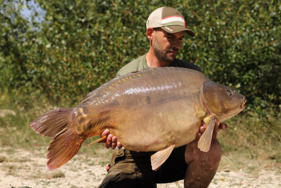 Roger Williams, 50lb, Tea Party, 18.8.18